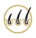 Promote Hair Growth Icon Promote Hair Growth Icon