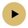 Video Play Button Video Play Button