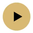 Play Button Play Button