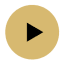 Play Button Play Button