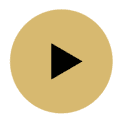 Video Play Button Video Play Button
